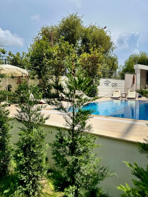 Day, Pool view, Swimming pool, sunbed