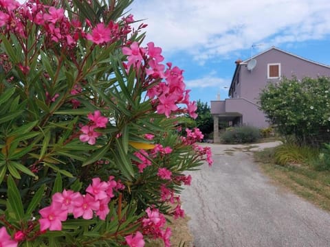 Property building, Garden, Garden view