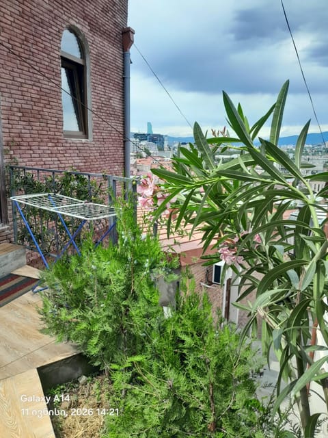 Day, Garden, Garden view