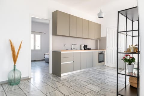 Sterna House Alkistis Apartment in Paros