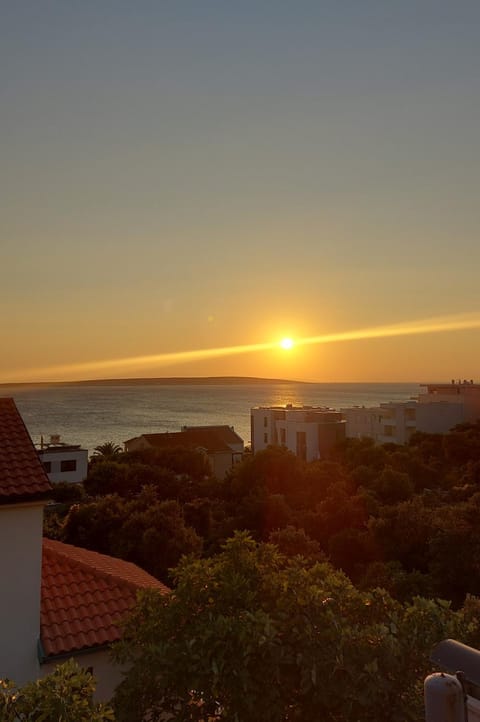 Apartment Mandre Apartment in Novalja