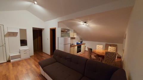 Apartment Mandre Apartment in Novalja