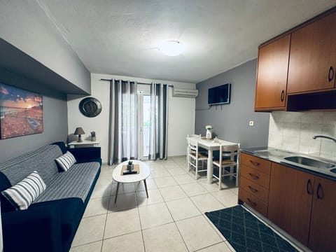 TV and multimedia, Kitchen or kitchenette, Living room, Photo of the whole room, Seating area, Dining area