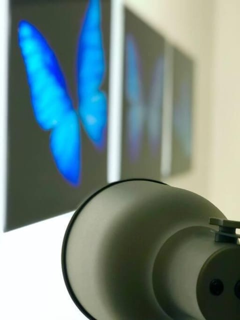 GroveO6 10 minutes from the Beach Apartment in Coconut Grove