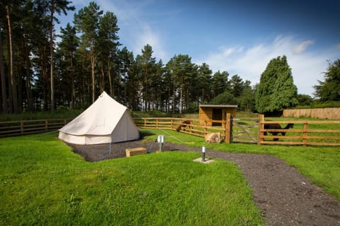 Tent 2 Luxury tent in England