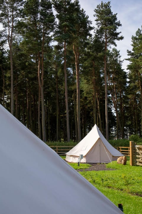 Tent 2 Luxury tent in England