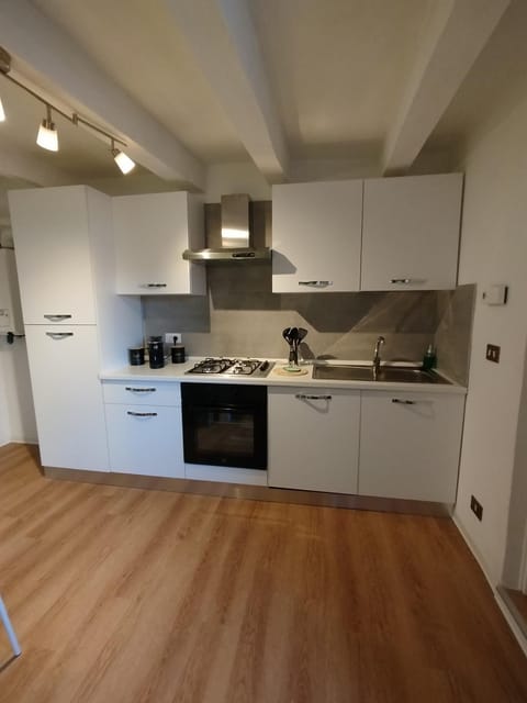 Kitchen or kitchenette, dishwasher, stove