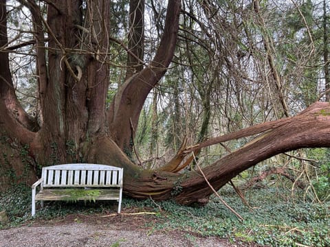 Sonas Mount Trenchard House in County Limerick