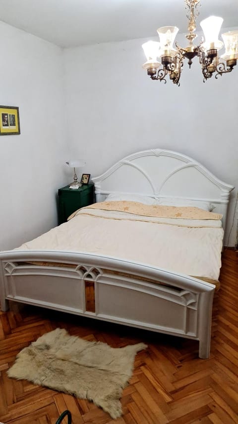 Antique Apartman Apartment in Serbia