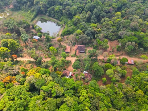 Natural landscape, Bird's eye view