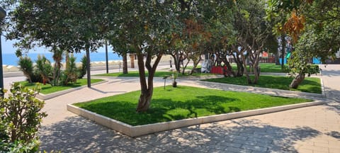 Neighbourhood, Garden