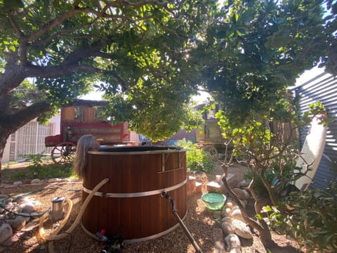 Garden, Hot Tub, Garden view