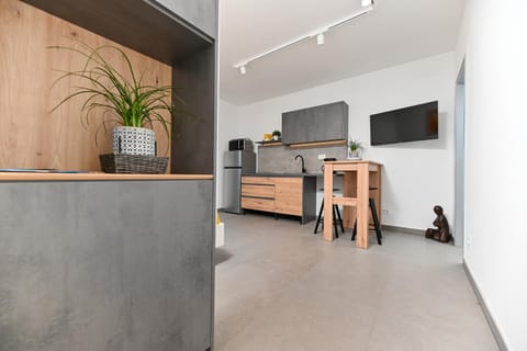 Lity Studio Gray Apartment in Šibenik-Knin County, Croatia