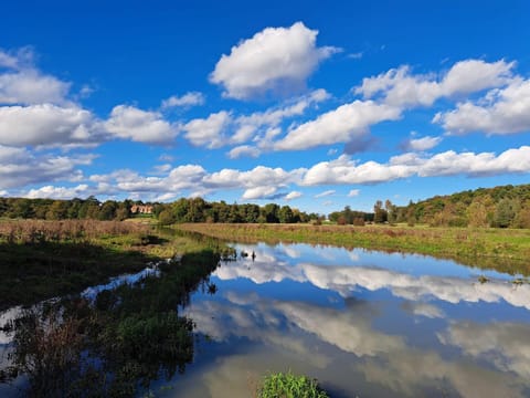 Goldings Farm yurt Tent firepit bbq activities Campground/ 
RV Resort in Hertford