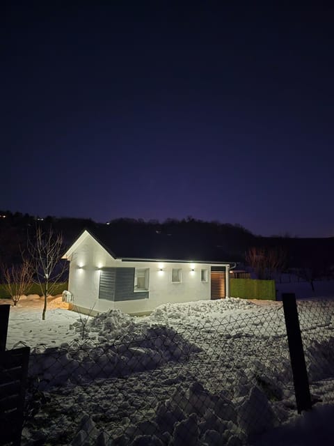 Night, Winter, Garden view