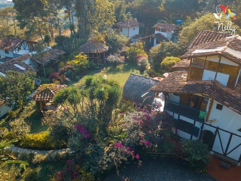 Property building, Bird's eye view, Garden