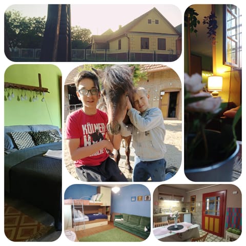 Property building, Activities, Horse-riding, View (from property/room), Animals, Pets, children, Family, pet friendly, kitchen