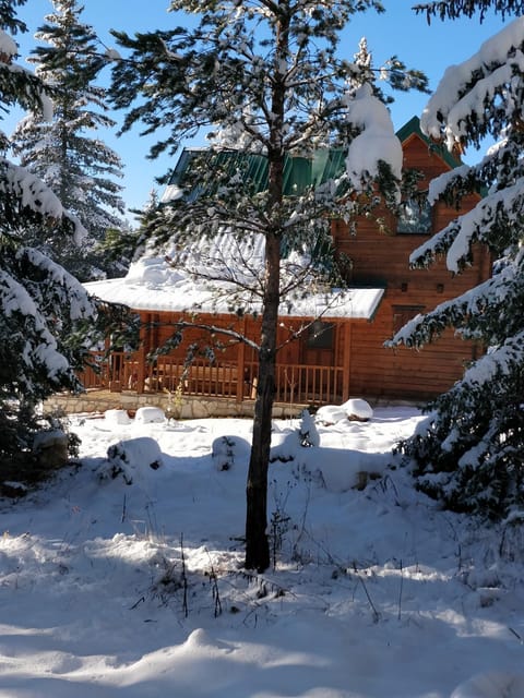 Day, Natural landscape, Winter