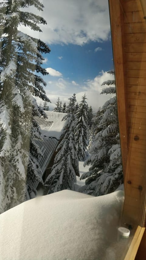 Day, Natural landscape, Winter