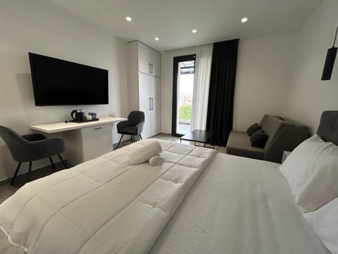 Bed, TV and multimedia, Living room, Photo of the whole room, Seating area, Bedroom