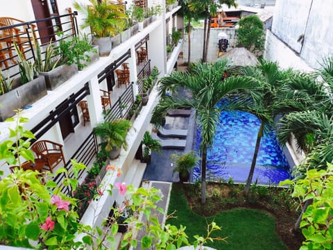 Garden, Swimming pool