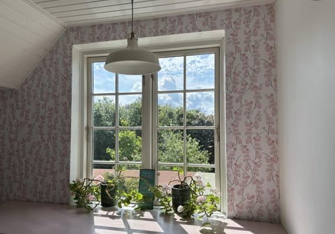 Spring, Day, Communal kitchen