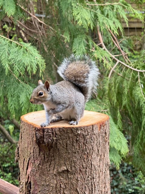 Parrys Hideaway Nature lodge in Exmouth