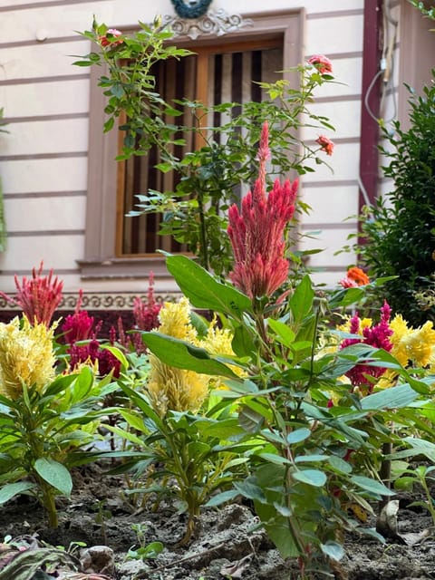Garden, Garden view