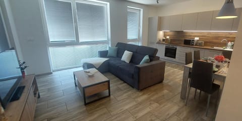 TV and multimedia, Kitchen or kitchenette, Living room, Seating area