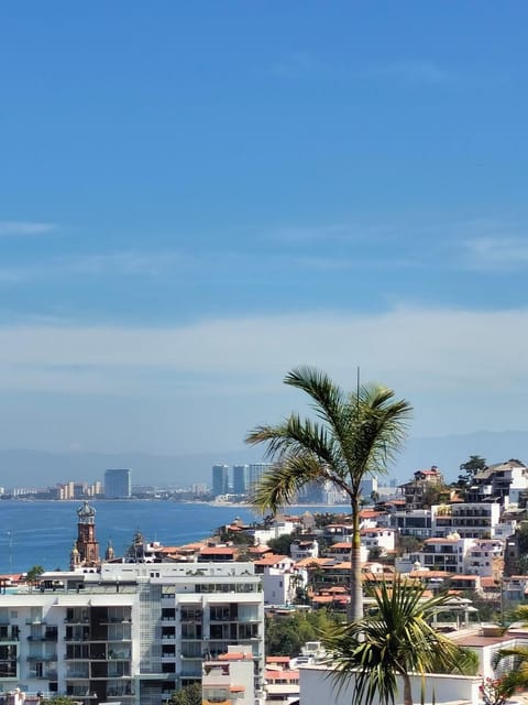 City view