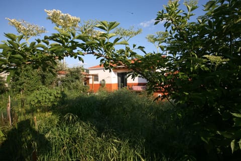Spring, Day, Natural landscape, Garden, Garden view