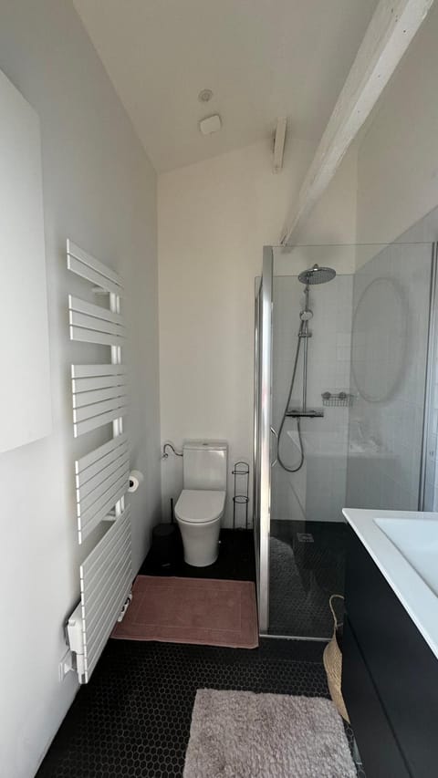 Maison Cosy - Maison de Maitre Vacation rental in Lille