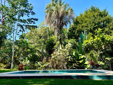 Natural landscape, Garden, Swimming pool