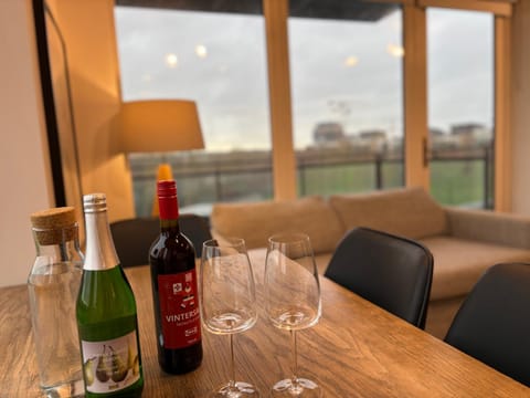 Luxurious Entire Guest House with Grand Living Space and Panoramic Balcony Views Vacation rental in Dublin