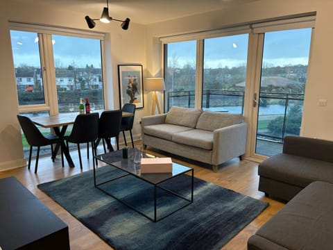 Luxurious Entire Guest House with Grand Living Space and Panoramic Balcony Views Vacation rental in Dublin