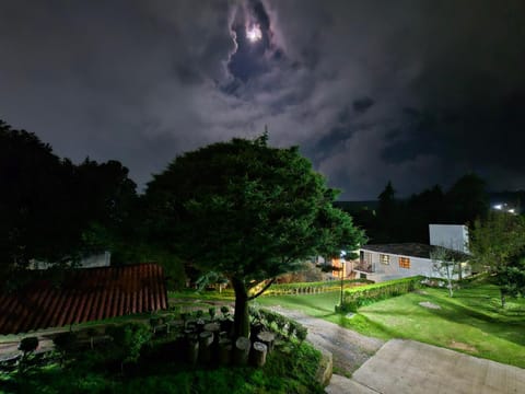 Night, Garden view