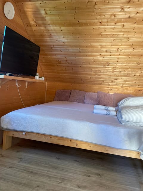 Communal lounge/ TV room, Bed, TV and multimedia, Photo of the whole room, Bedroom