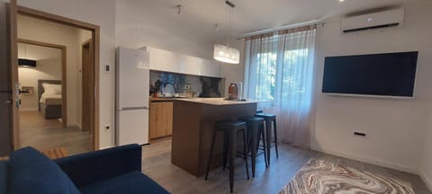 Communal lounge/ TV room, TV and multimedia, Kitchen or kitchenette, Living room, Seating area, Dining area, Evening entertainment, oven, air conditioner