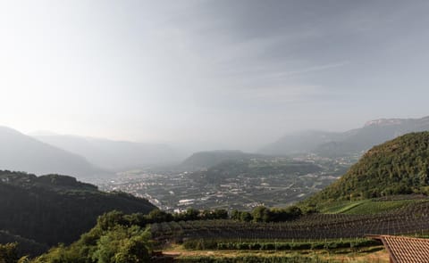 View (from property/room), City view, Garden view