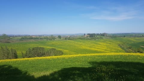 Day, Natural landscape