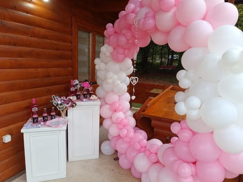 Brvnara Gold Hill House in Federation of Bosnia and Herzegovina