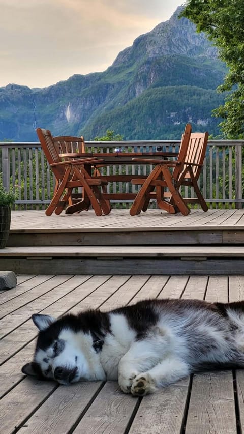 Mountain view