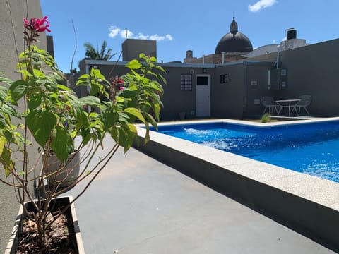 Day, Summer, Garden, Pool view, Swimming pool