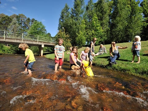 Activities, children, Family