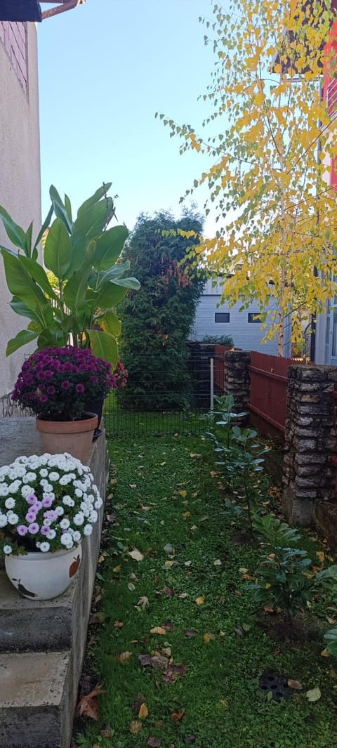 Property building, Day