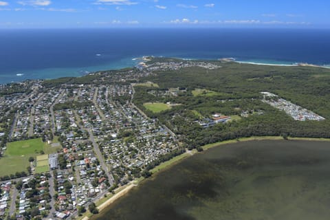 Day, Bird's eye view