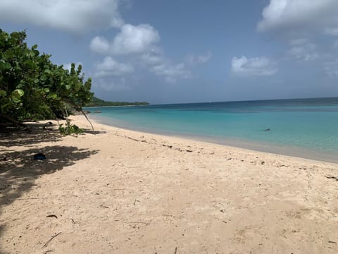 Beach, On site
