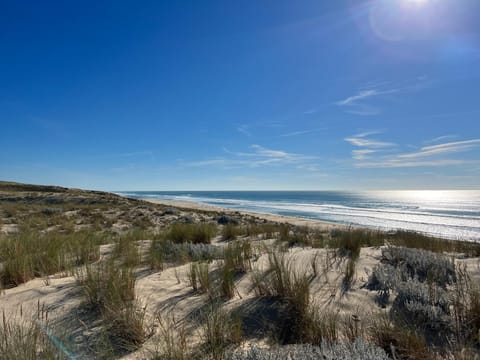 Nearby landmark, Natural landscape, Beach