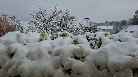 Über den Dächern von Flensburg Vacation rental in Flensburg