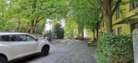 Day, Garden view, Street view